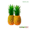 Pineapple MD2