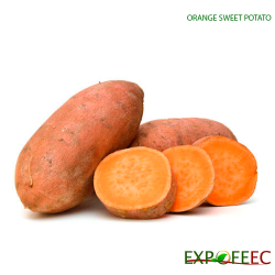 Orange Sweet Potato